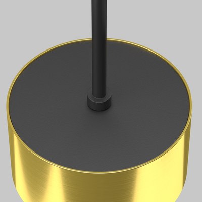 Потолочный светильник Maytoni Pendant P102PL-12W3K-BS