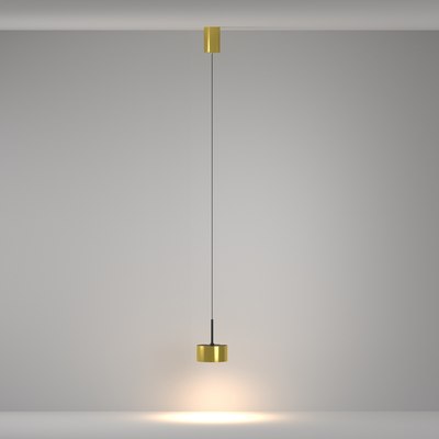 Потолочный светильник Maytoni Pendant P102PL-12W3K-BS
