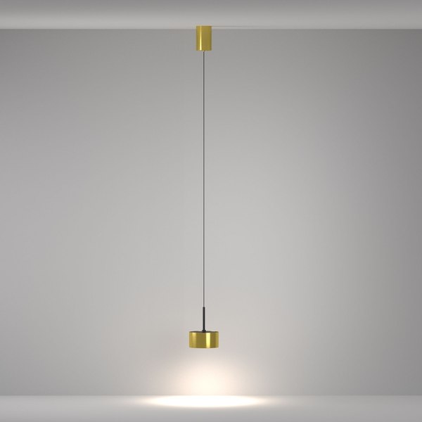 Потолочный светильник Maytoni Pendant P102PL-12W4K-BS