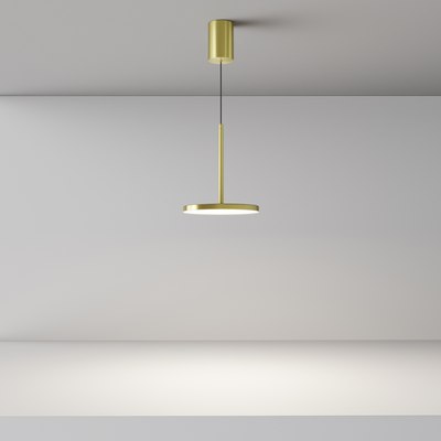 Потолочный светильник Maytoni Pendant P076PL-L12W4K-BS