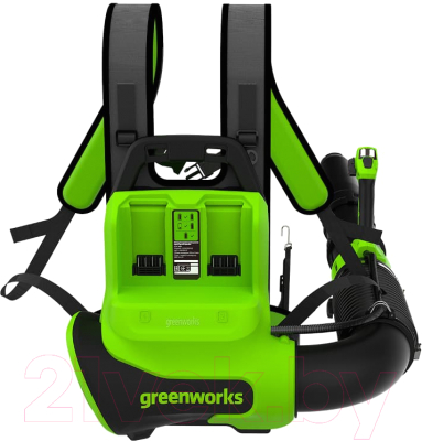 Воздуходувка Greenworks GD40BPG2