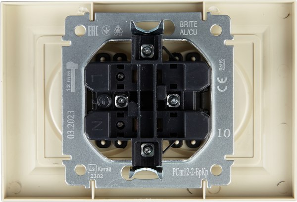 Розетка IEK Brite BR-R23-10-K10-F