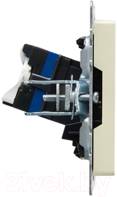 Розетка IEK Brite BR-K10-2-K10