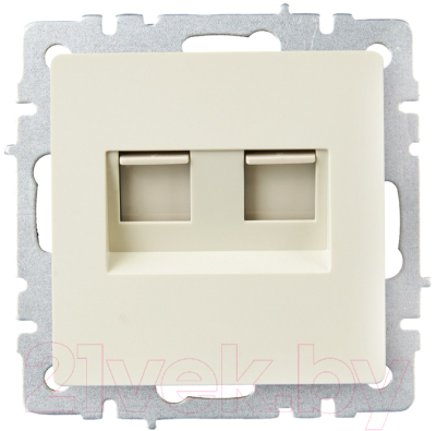 Розетка IEK Brite BR-K20-2-K10