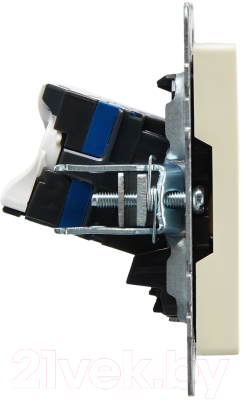 Розетка IEK Brite BR-K20-2-K10