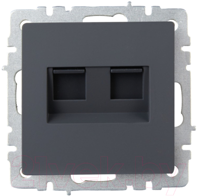 Розетка IEK Brite BR-K20-2-K53