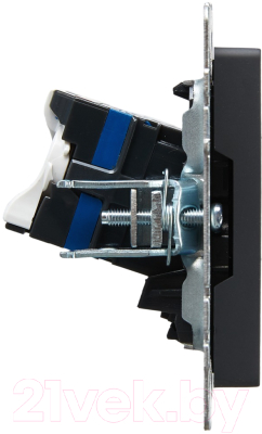 Розетка IEK Brite BR-K20-2-K53