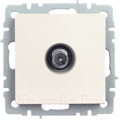 Розетка IEK Brite BR-A10-P-K36