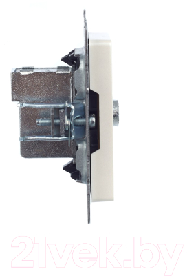 Розетка IEK Brite BR-A10-P-K36