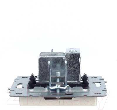 Розетка IEK Brite BR-A10-P-K36