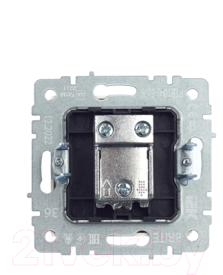 Розетка IEK Brite BR-A10-P-K36