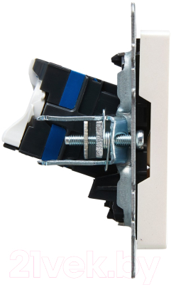 Розетка IEK Brite BR-K10-2-K36