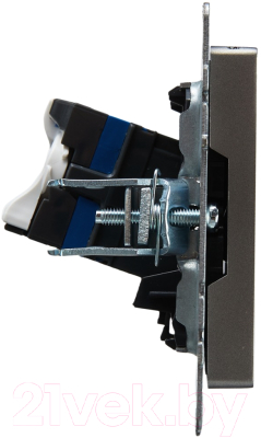 Розетка IEK Brite BR-K10-2-K46