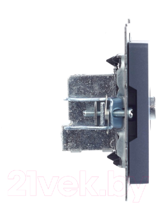 Розетка IEK Brite BR-A10-P-K35