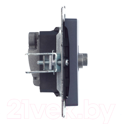 Розетка IEK Brite BR-AF20-O-K35