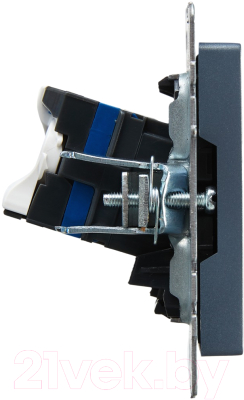 Розетка IEK Brite BR-K10-2-K35