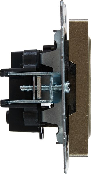 Розетка IEK Brite BR-R13-10-K37