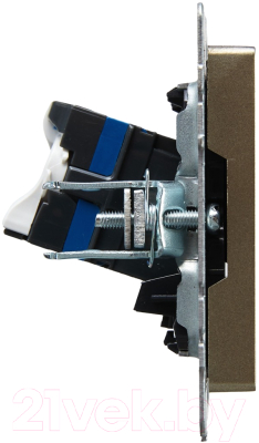 Розетка IEK Brite BR-K10-2-K37