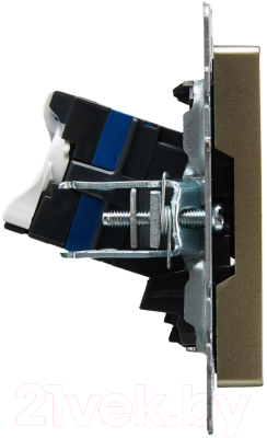 Розетка IEK Brite BR-K20-2-K37