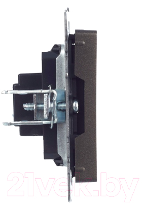 Розетка IEK Brite BR-H10-K45