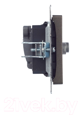 Розетка IEK Brite BR-AF20-O-K45