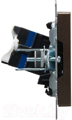 Розетка IEK Brite BR-K10-2-K45