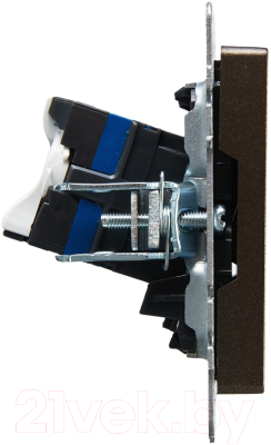 Розетка IEK Brite BR-K20-2-K45