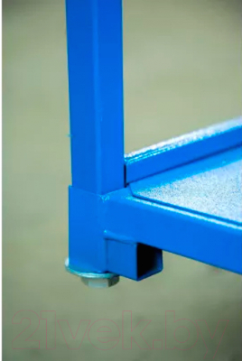 Тележка платформенная TOR ТП-2 / 1005794