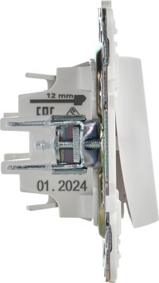 Выключатель IEK Skandy SK-V12-1-10-K01