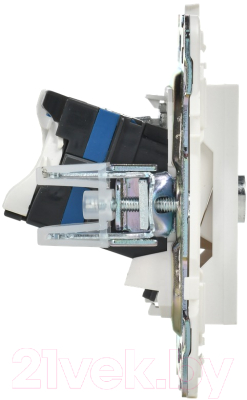 Розетка IEK Skandy SK-AK20-2-K01