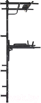 Шведская стенка Flexter Grand Profi ПСК G12 (черный)