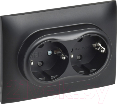 Розетка IEK Skandy SK-R24-16-K02-F - фото