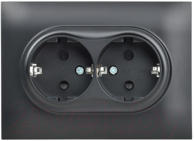 Розетка IEK Skandy SK-R24-16-K02-F