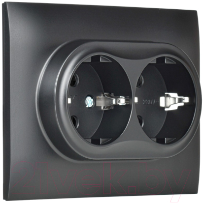 Розетка IEK Skandy SK-R24-16-K02-F