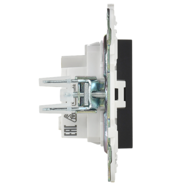 Розетка IEK Skandy SK-R13-10-K02