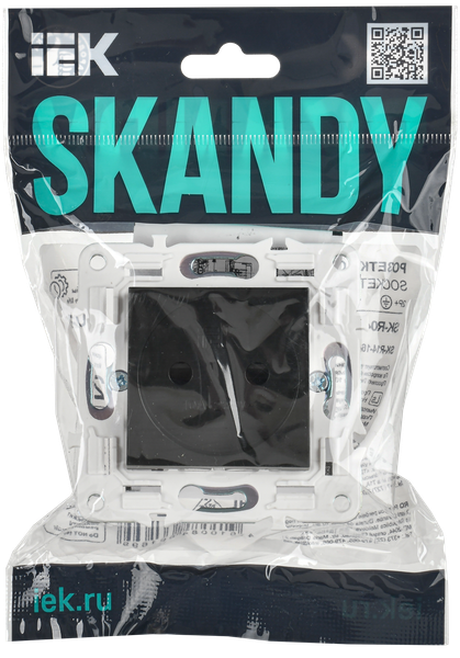 Розетка IEK Skandy SK-R13-10-K02