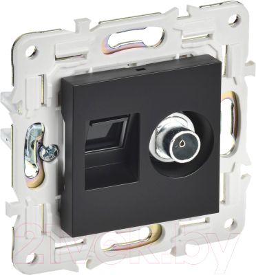 Розетка IEK Skandy SK-AK20-2-K02 - фото