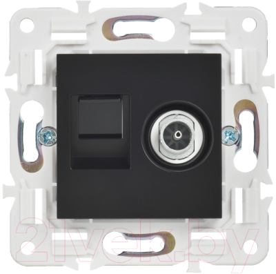 Розетка IEK Skandy SK-AK20-2-K02