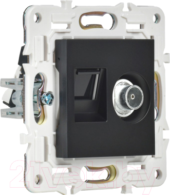 Розетка IEK Skandy SK-AK20-2-K02