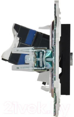 Розетка IEK Skandy SK-AK20-2-K02