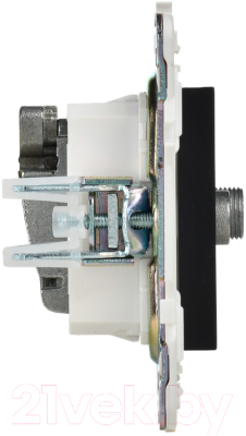 Розетка IEK Skandy SK-AF20-O-K02