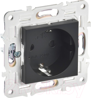 Розетка IEK Skandy SK-R14-16-K02 - фото