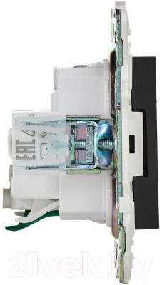 Розетка IEK Skandy SK-R14-16-1-K02