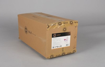 Бра Aployt APL.663.01.01