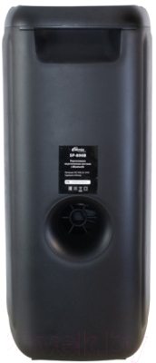 Портативная колонка Ritmix SP-890B
