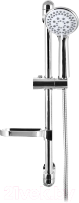 Душевой гарнитур Wisent WP8028 - фото