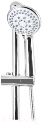 Душевой гарнитур Wisent WP8028