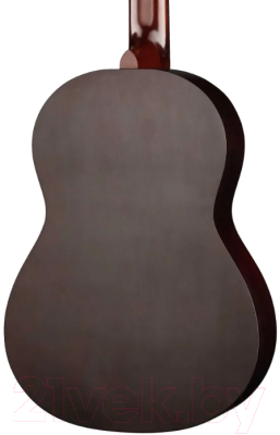 Акустическая гитара Presto Music GC-BN20-G-4/4