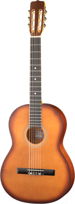 Акустическая гитара Presto Music GC-BNSB20-G - фото