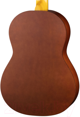 Акустическая гитара Presto Music GC-BNSB20-G